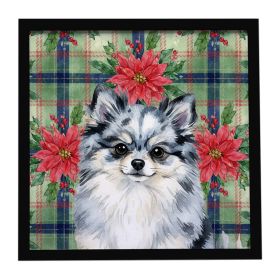 Blue Merle Pomeranian Christmas PoinsettIas Framed Metal Print Bathroom, Kitchen, Office, Home Decor Wall Art Ready to Hang, Square, 8X8
